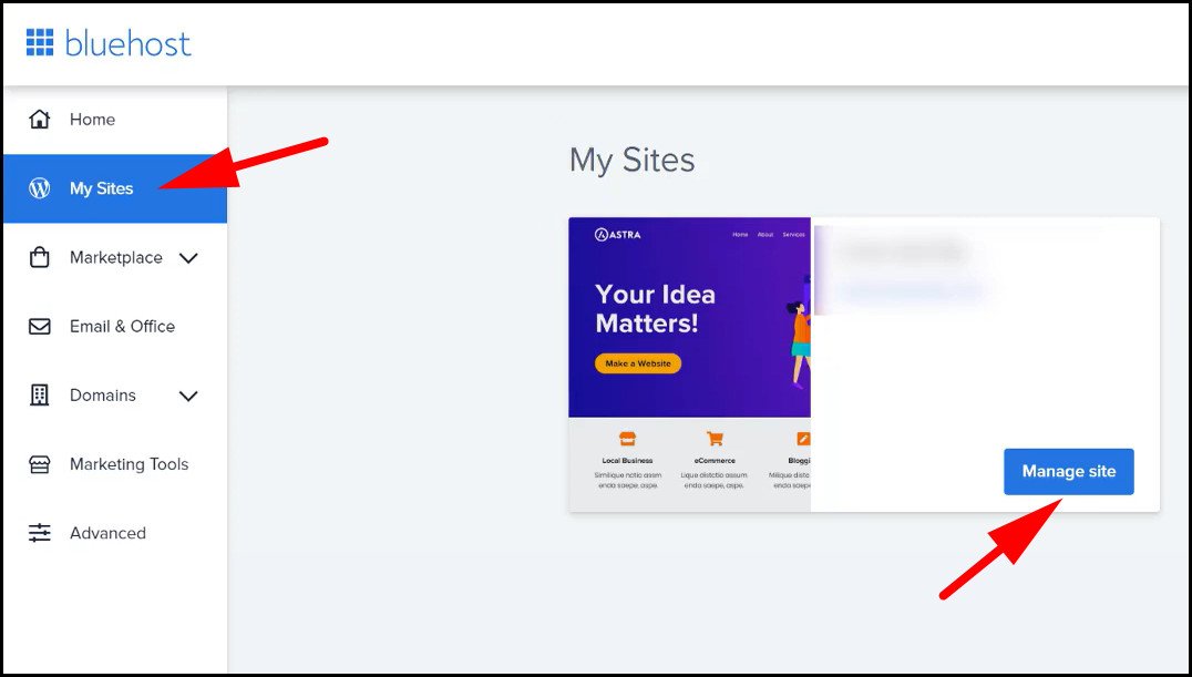 Bluehost manage site