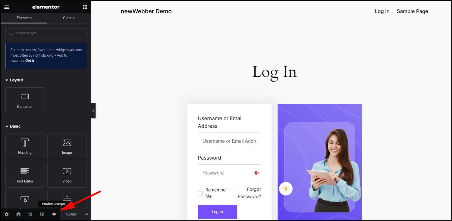 Preview the elementor form